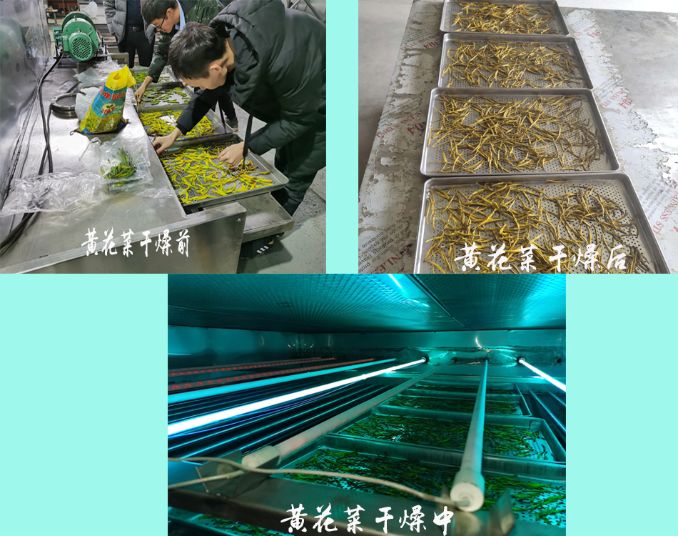 中波紅外線干燥機(jī)3